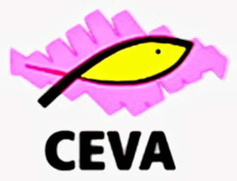 C.E.V.A (Comunidad-Evangelica-Vida-Abundante)